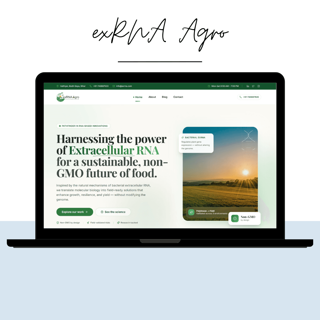 Exrna Agro website preview